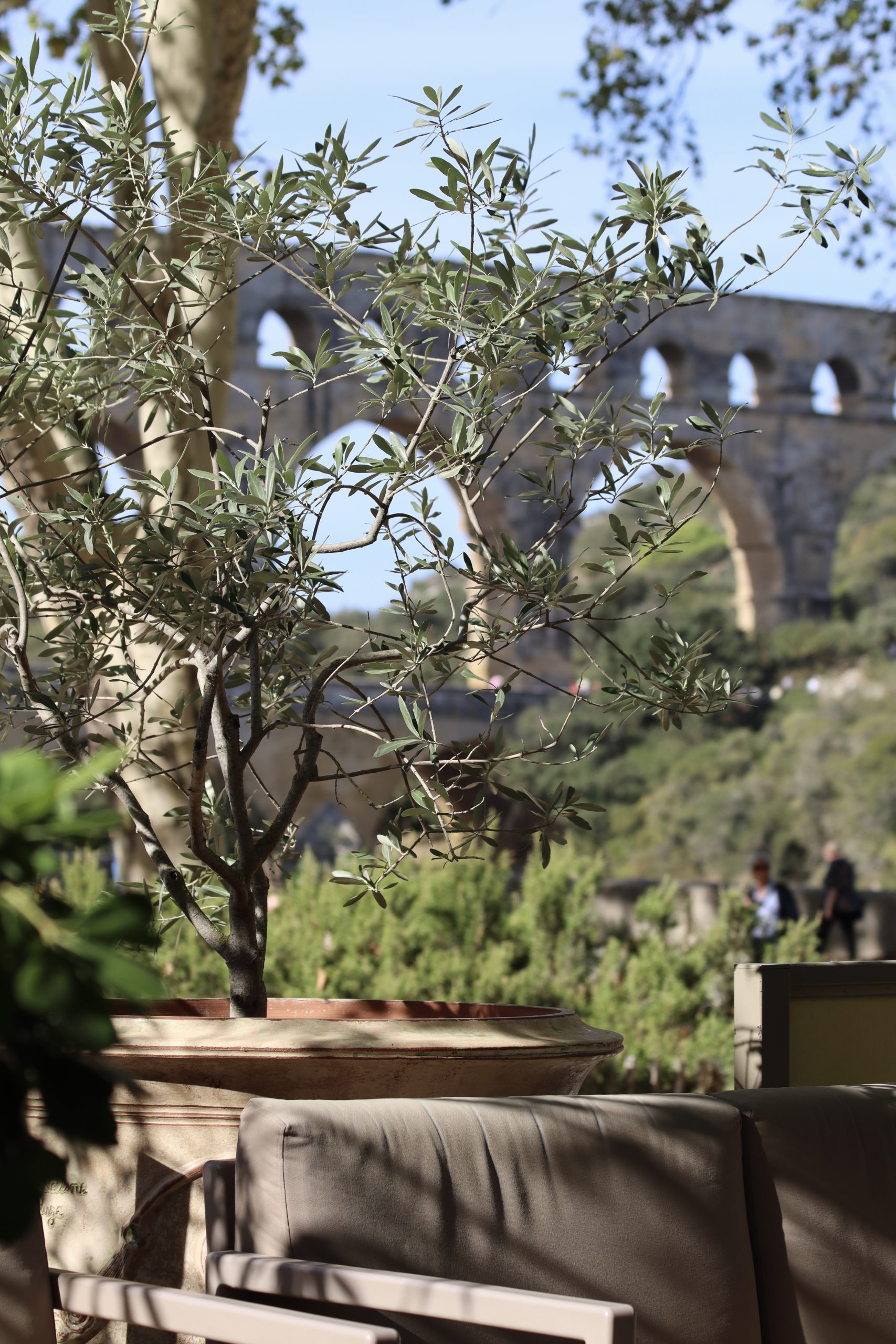 Les Terrasses D9 scaled D9