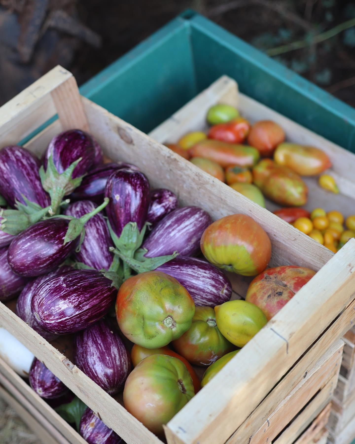 market gardening