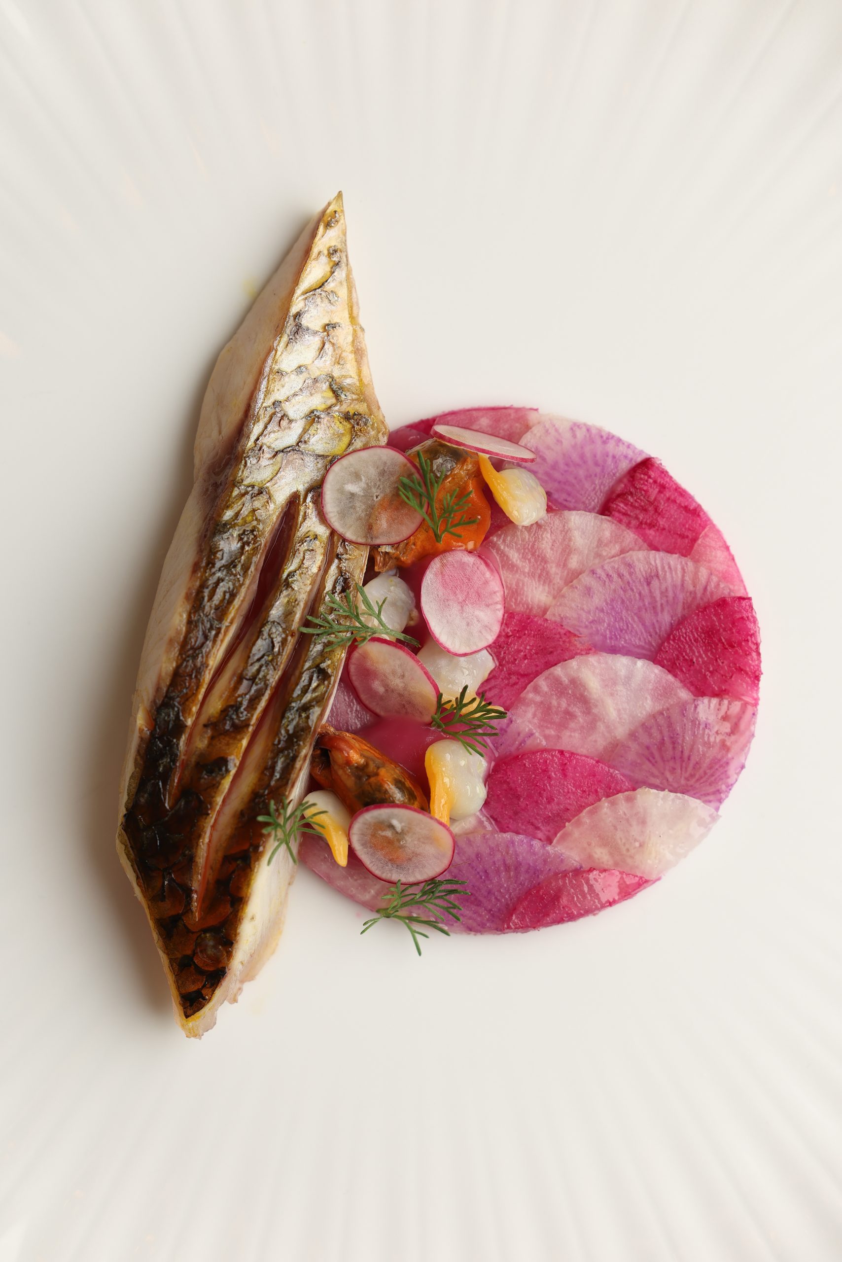 Auffo 3R7A5678 scaled AUFFO